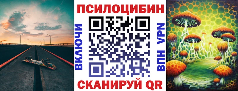 как найти наркотики Шенкурск Галлюциногенные грибы GOLDEN TEACHER